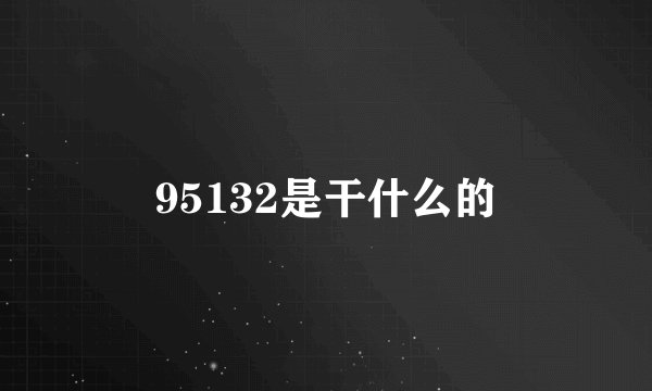 95132是干什么的