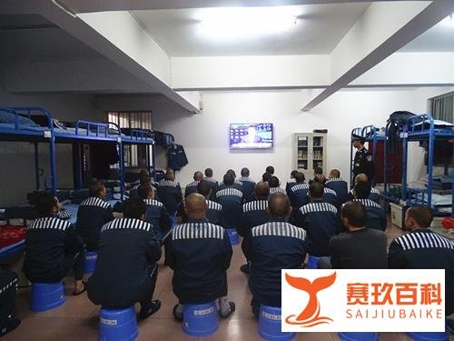 监狱潜规则与牢头狱霸现象的深入解析
