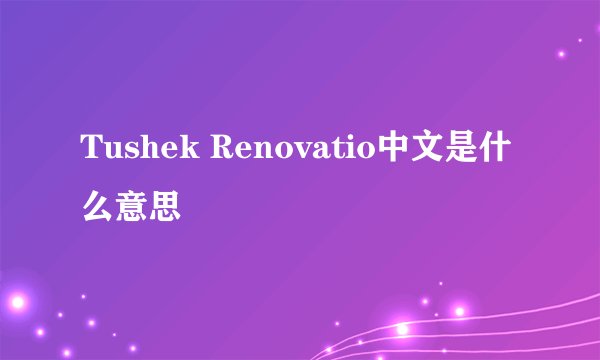 Tushek Renovatio中文是什么意思