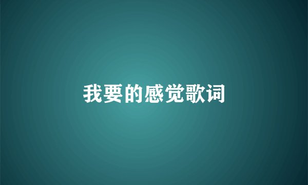 我要的感觉歌词