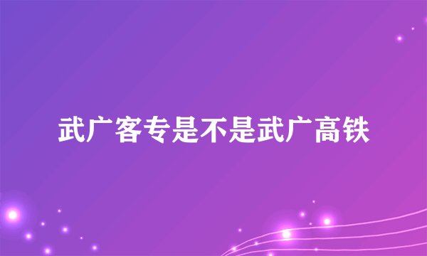 武广客专是不是武广高铁