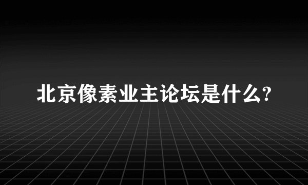 北京像素业主论坛是什么?