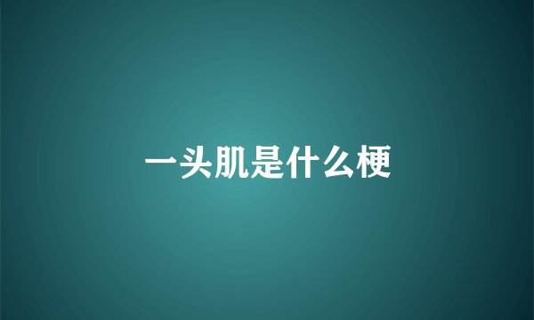 一头肌是什么梗