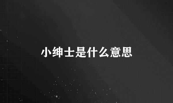 小绅士是什么意思