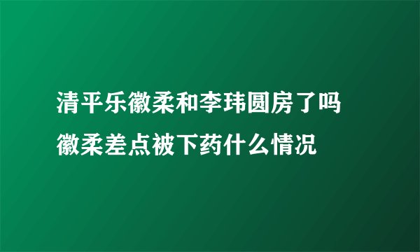 清平乐徽柔和李玮圆房了吗 徽柔差点被下药什么情况