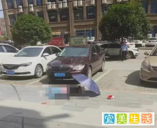 男子办理离婚路上当街杀害妻子，警方已立案调查