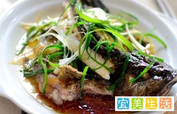 木鸟旅行攻略 | 史上最全的三亚海鲜攻略,本地老司机教你怎样在三亚买海鲜吃海鲜!再也不怕被坑了!
