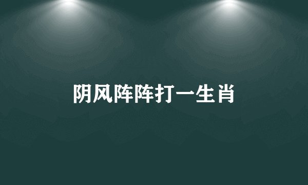 阴风阵阵打一生肖