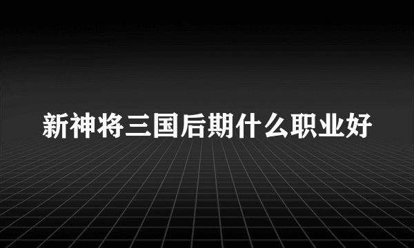 新神将三国后期什么职业好