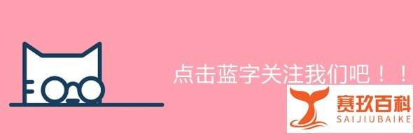 魅族大换血?黄章大股东被取代,李楠从主要人员中移除