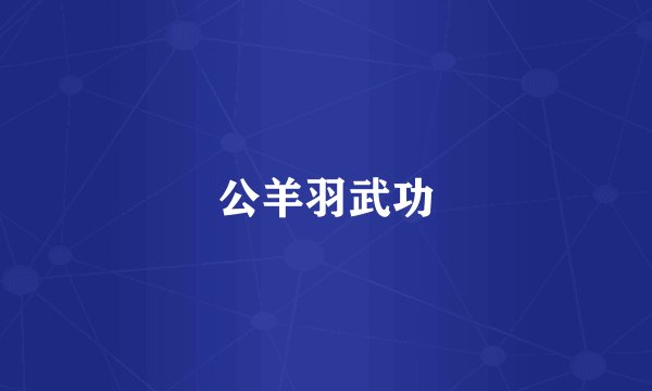 公羊羽武功