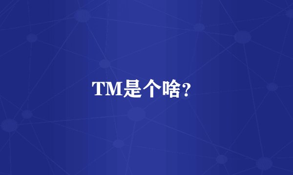 TM是个啥？