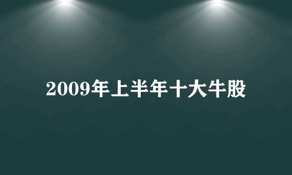 2009年上半年十大牛股