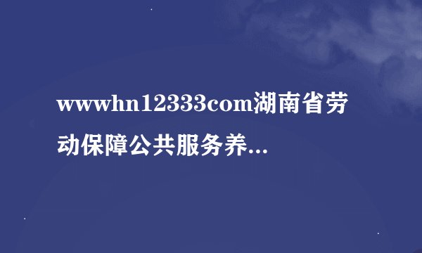 wwwhn12333com湖南省劳动保障公共服务养老金身份认证
