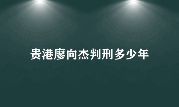 贵港廖向杰判刑多少年