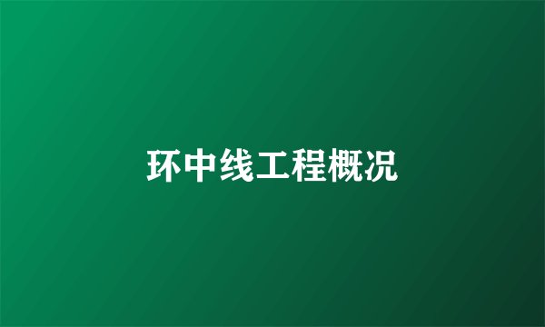 环中线工程概况