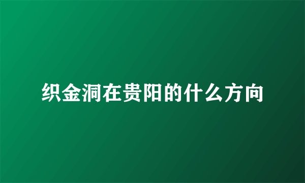 织金洞在贵阳的什么方向