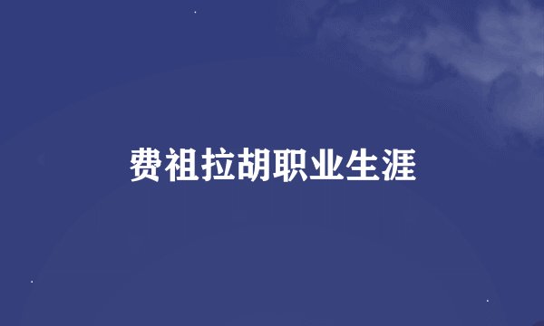 费祖拉胡职业生涯