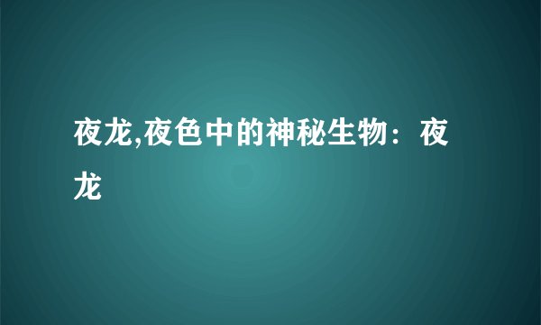 夜龙,夜色中的神秘生物:夜龙