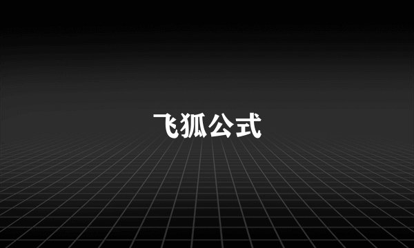 飞狐公式
