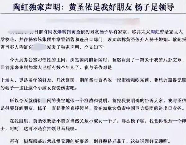杨子前妻,此陶虹非彼陶虹