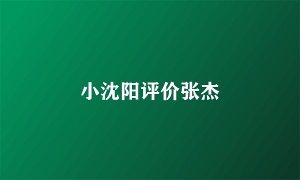 小沈阳评价张杰