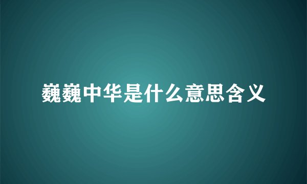 巍巍中华是什么意思含义