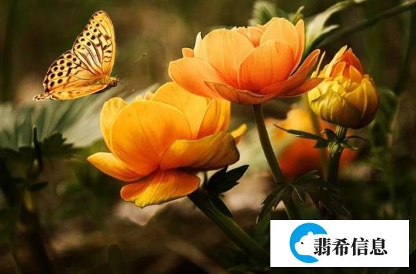 《天生不同》：一个人之所以迷人，是因为他擅长做自己