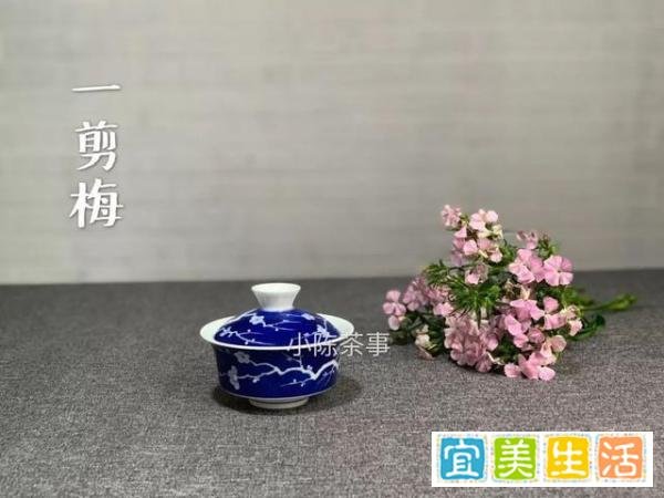闷泡,是鉴茶,快出水,是品茶。鉴茶和品茶,你确认搞清楚了吗?