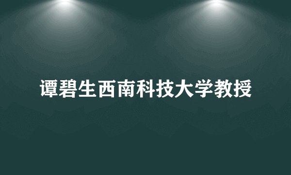 谭碧生西南科技大学教授
