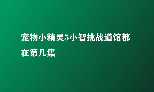 宠物小精灵5小智挑战道馆都在第几集