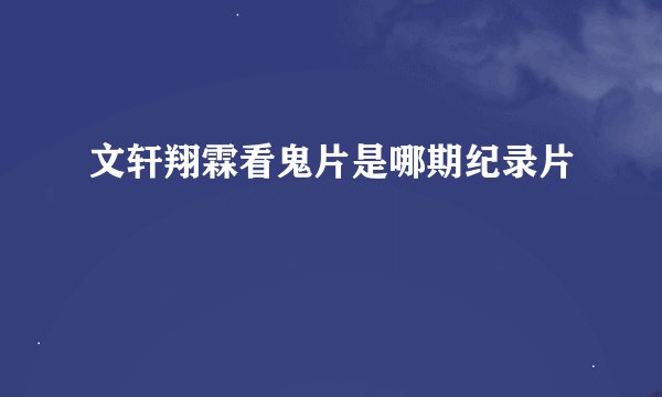 文轩翔霖看鬼片是哪期纪录片