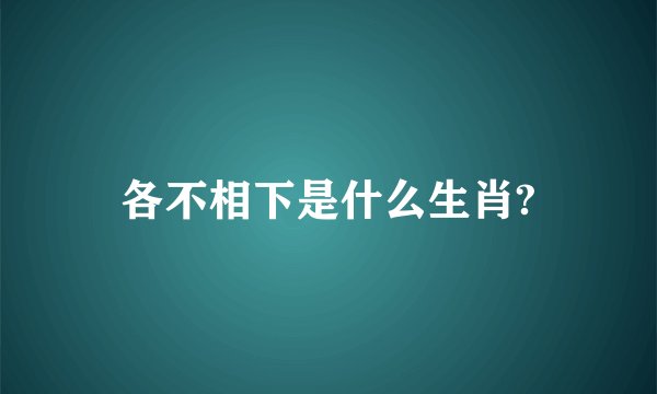 各不相下是什么生肖?