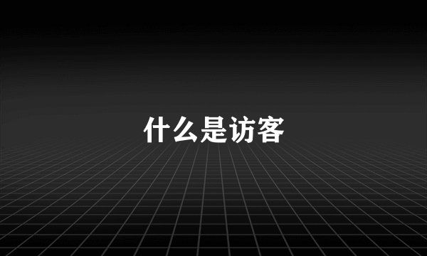 什么是访客