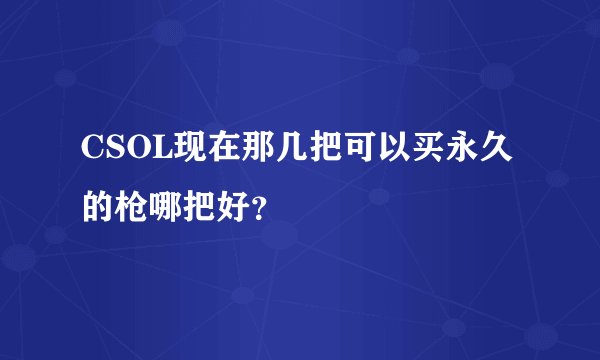 CSOL现在那几把可以买永久的枪哪把好？