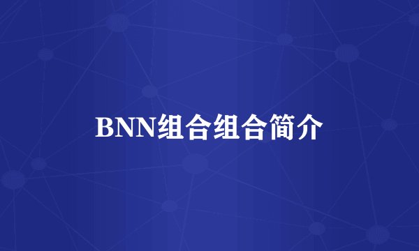 BNN组合组合简介