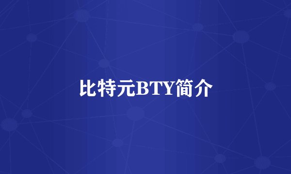 比特元BTY简介