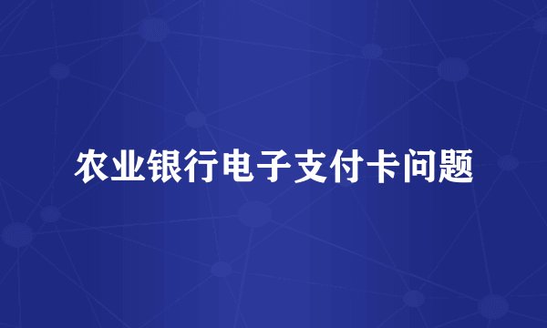 农业银行电子支付卡问题