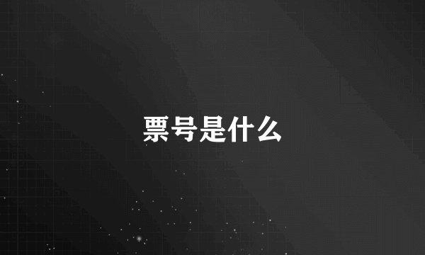 票号是什么