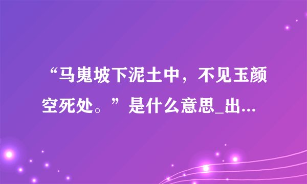 “马嵬坡下泥土中，不见玉颜空死处。”是什么意思_出处及原文翻译