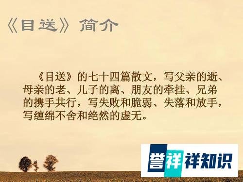 孙女返程，爷爷雨中相送不愿离去：所谓亲人，是不断目送你离去
