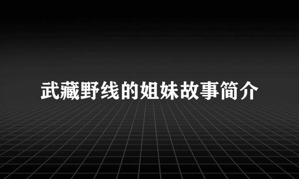 武藏野线的姐妹故事简介