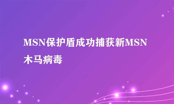 MSN保护盾成功捕获新MSN木马病毒