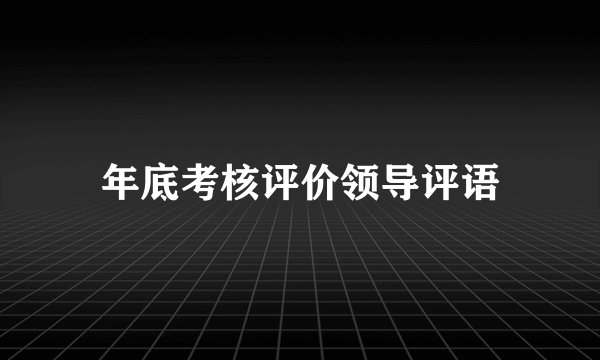年底考核评价领导评语