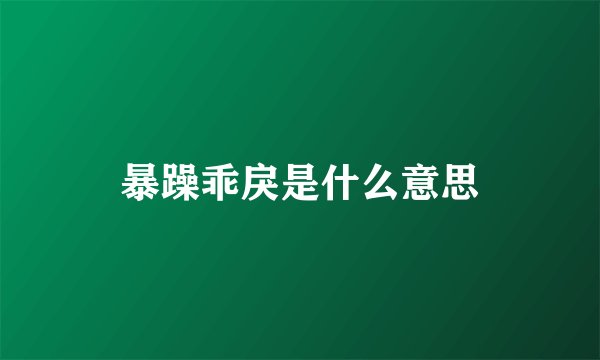 暴躁乖戾是什么意思