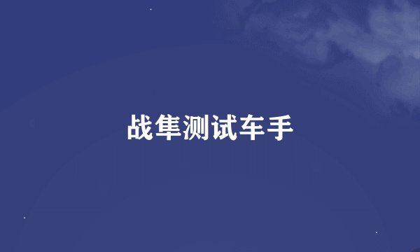 战隼测试车手