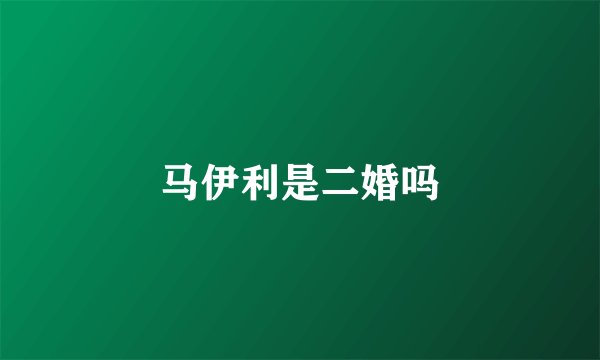 马伊利是二婚吗