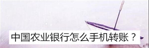 中国农业银行怎么手机转账？