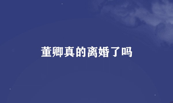 董卿真的离婚了吗