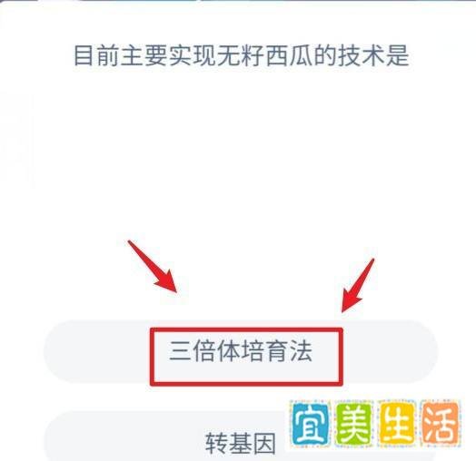 无籽西瓜的种植技术蚂蚁新村答案